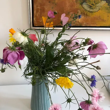 Charming Townhouse In The Heart Of * 哈泽斯莱乌